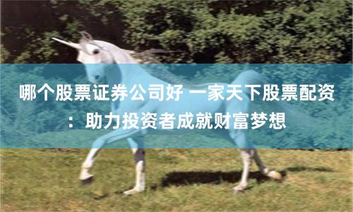 哪个股票证券公司好 一家天下股票配资：助力投资者成就财富梦想