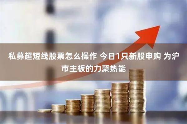 私募超短线股票怎么操作 今日1只新股申购 为沪市主板的力聚热能