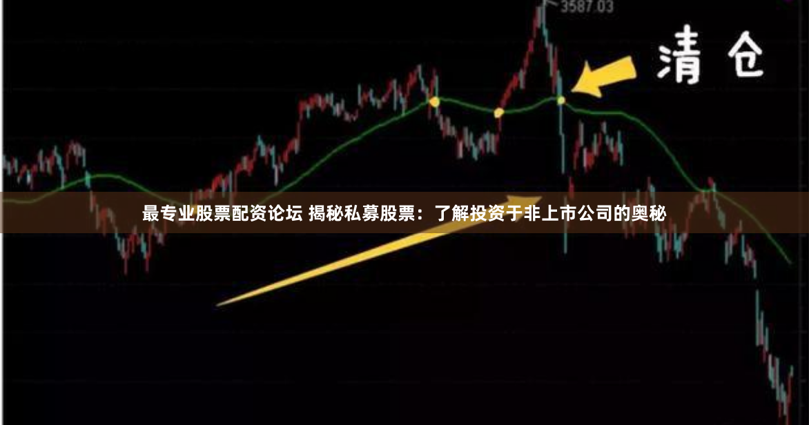 最专业股票配资论坛 揭秘私募股票：了解投资于非上市公司的奥秘